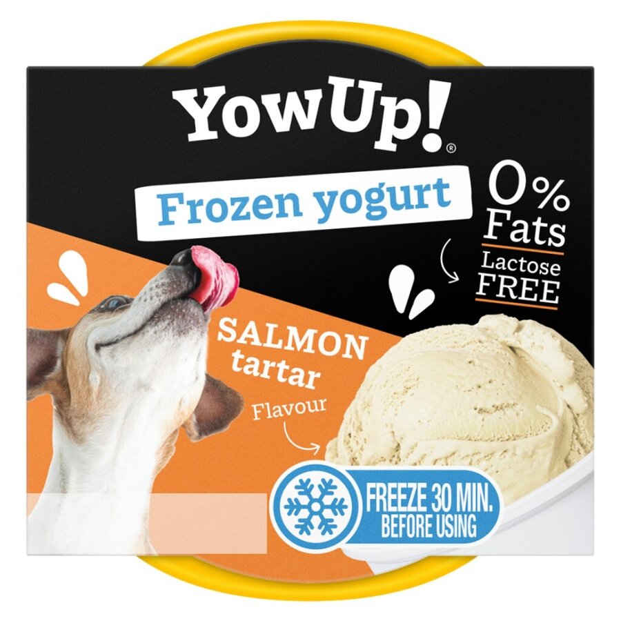 Frozen Yoghurt Salmon Tartar 120 gram