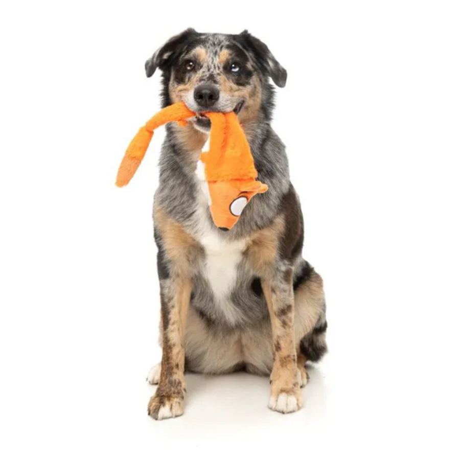 The Yeetz Farewell Fox