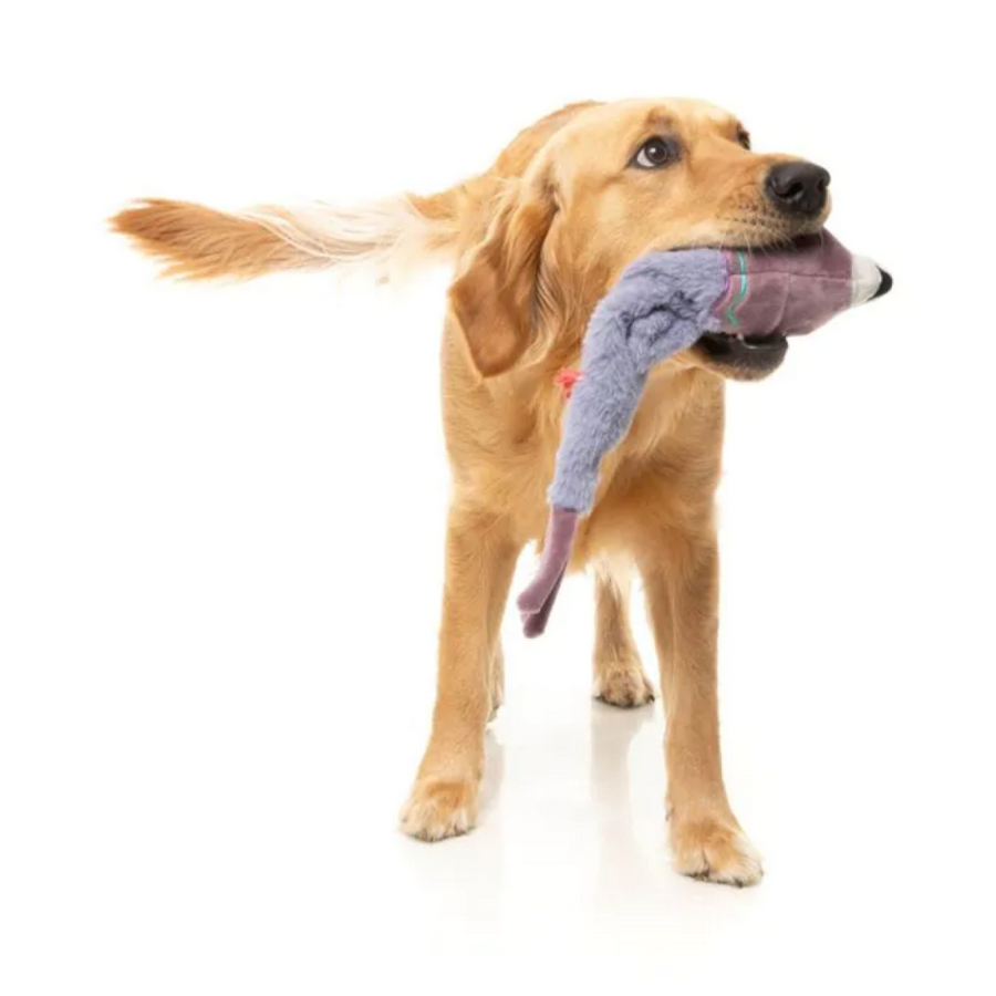 The Yeetz Peace Out Pigeon