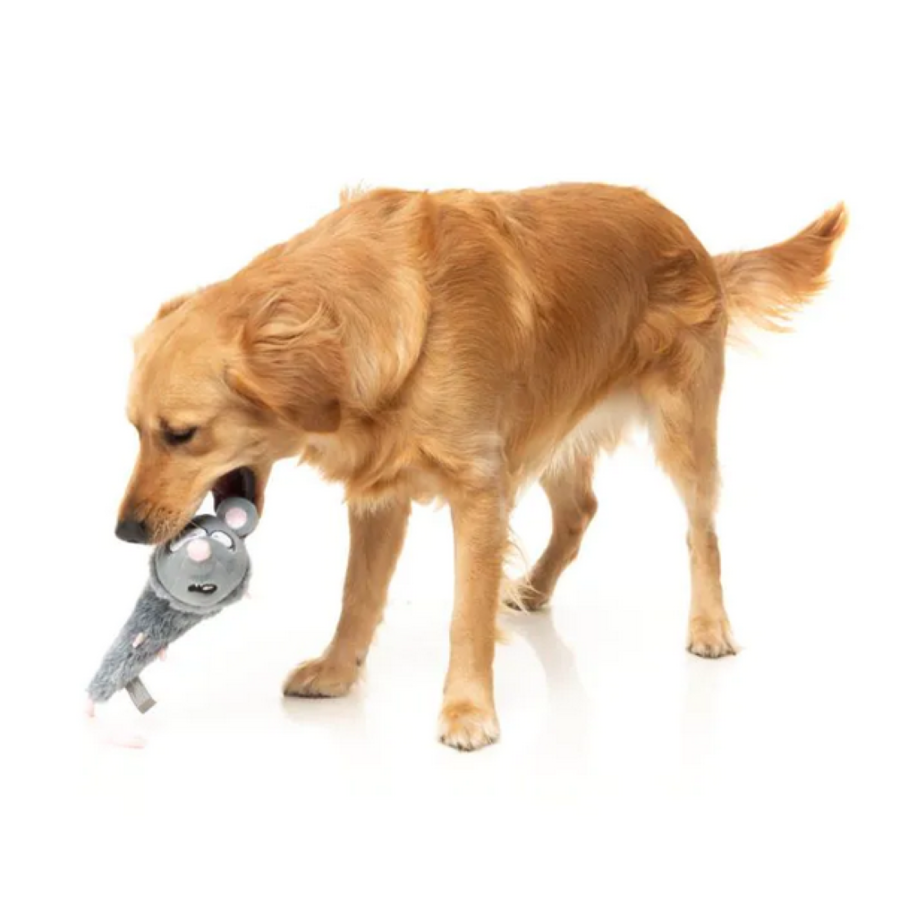 The Yeetz Rack Off Rat