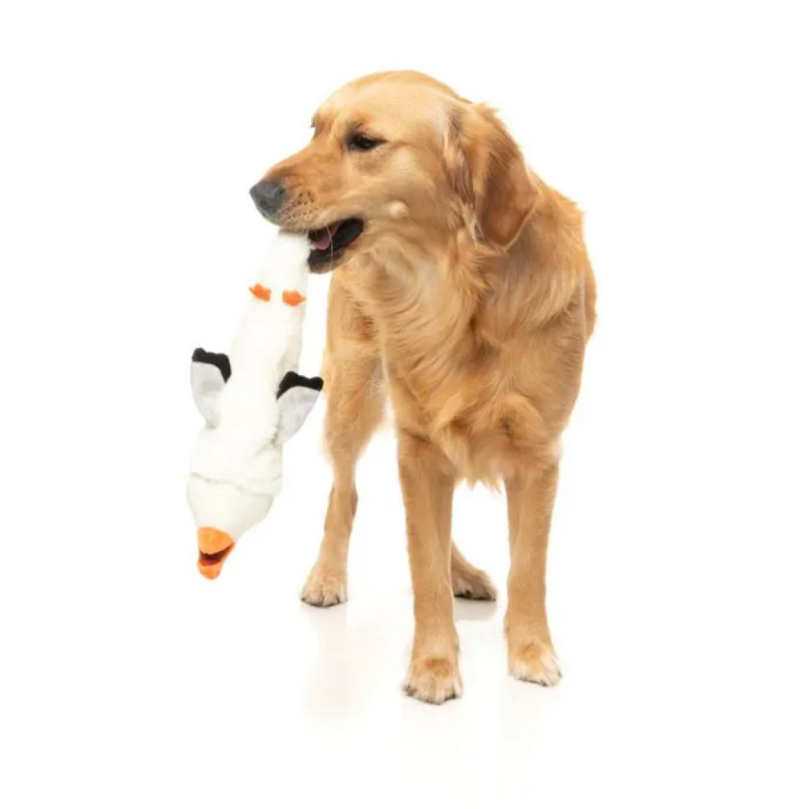 The Yeetz See-Ya Seagull