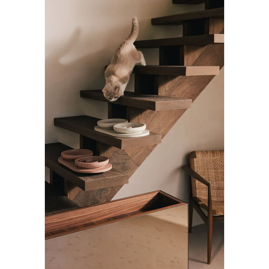 Cat Slow Feeder Bowl