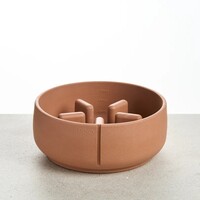 Dog Slow Feeder Bowl