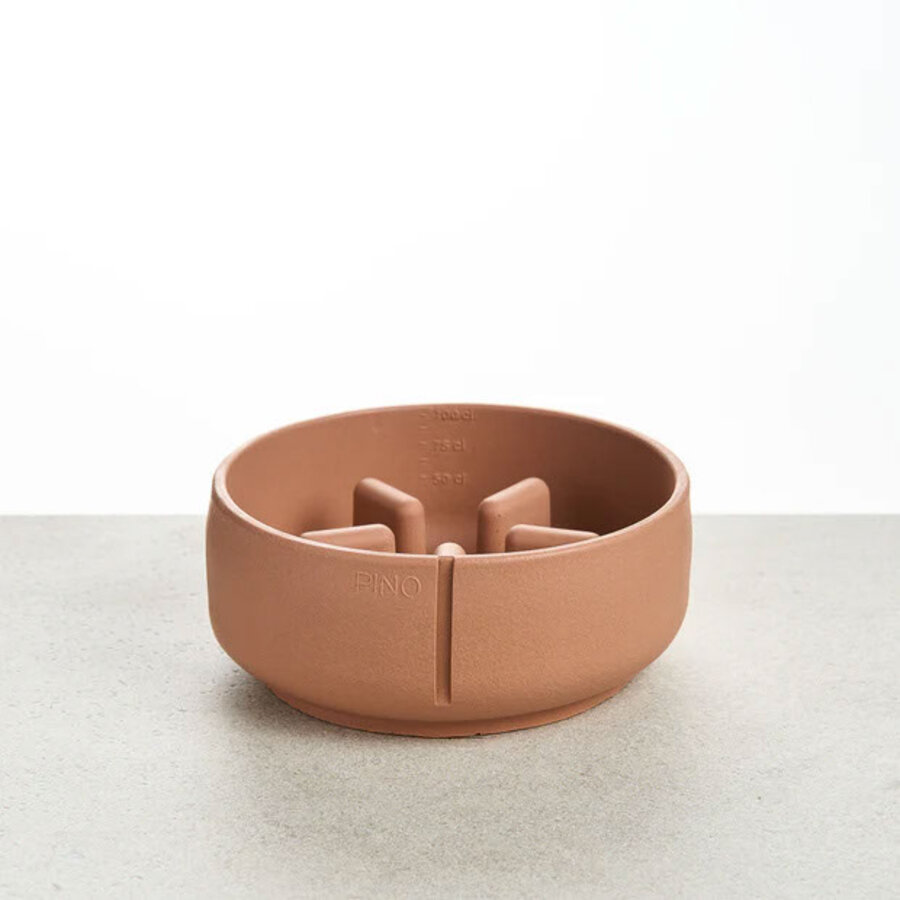 Dog Slow Feeder Bowl