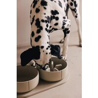 Dog Slow Feeder Bowl