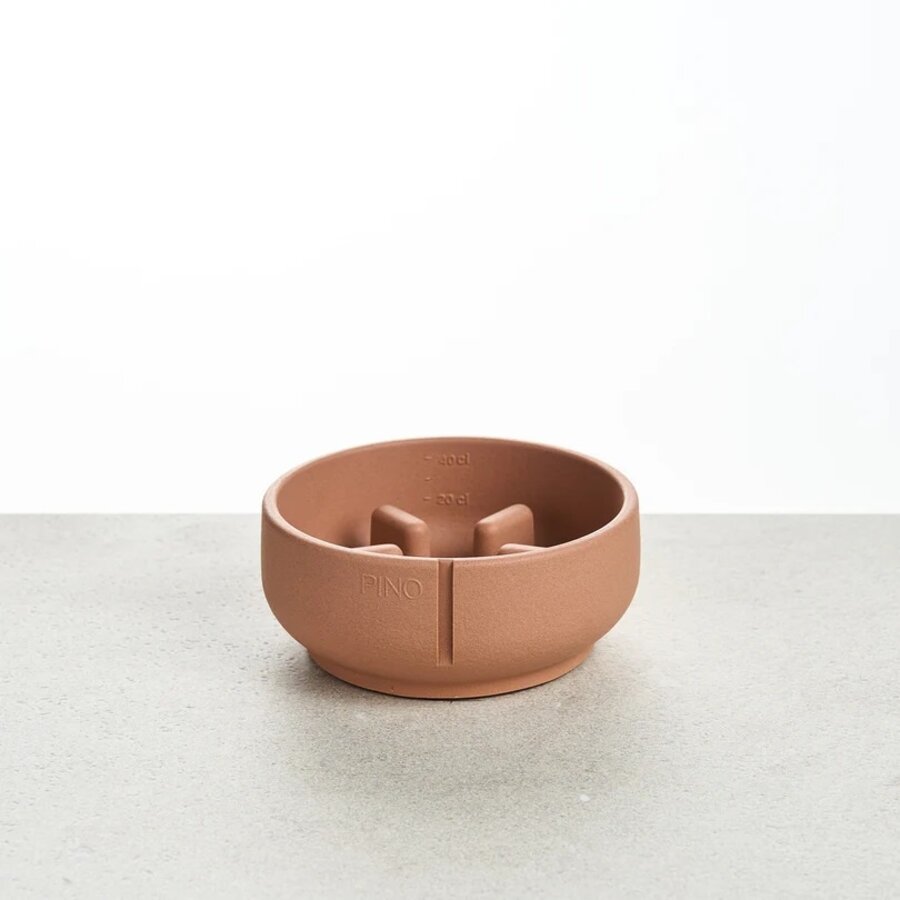 Dog Slow Feeder Bowl