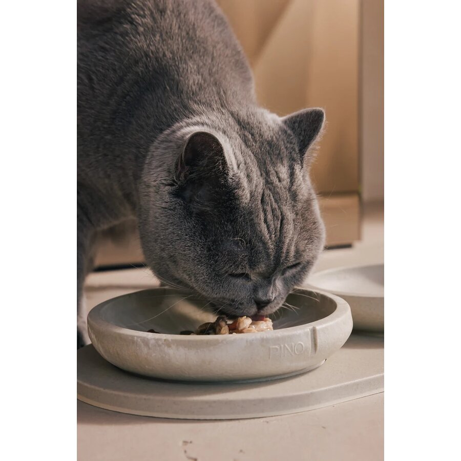Cat Whisker Friendly Bowl
