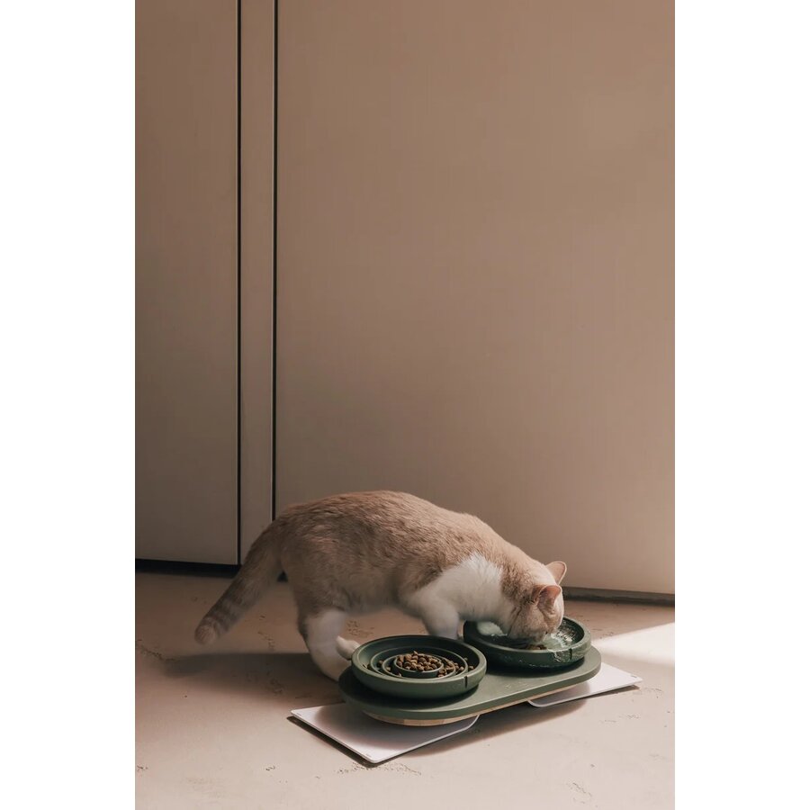 Cat Whisker Friendly Bowl