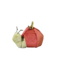 Apple with Caterpillar