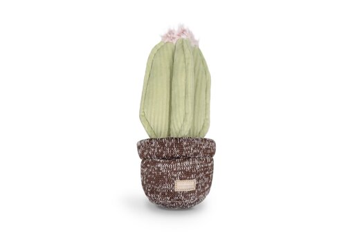 Lambwolf Collective Cactus