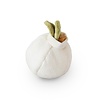 Garlic Pop