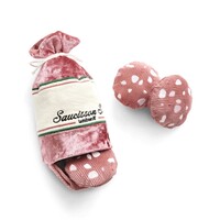 Saucisson Sec