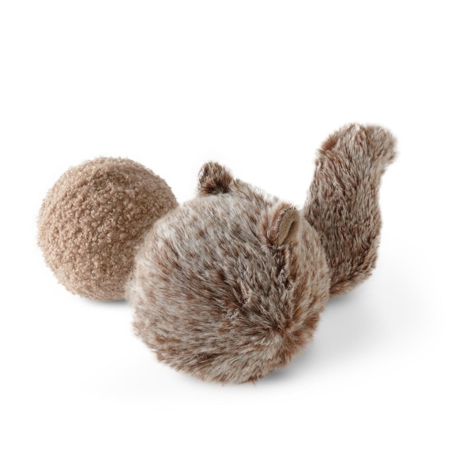 Squirrel Pop