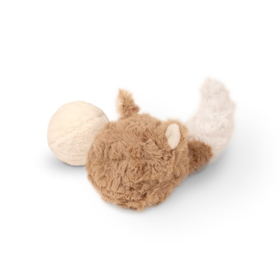 Fox Pop