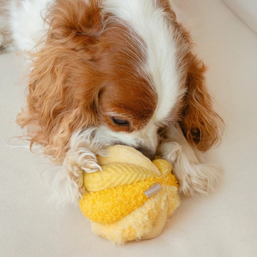 Toto Silent Cornfield