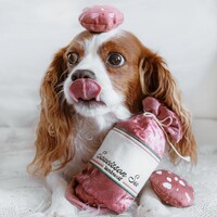 Saucisson Sec