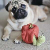 Apple with Caterpillar
