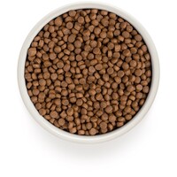 Cat 4 Meat Adult Indoor