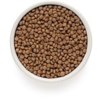 Cat 4 Meat Adult Sterilized
