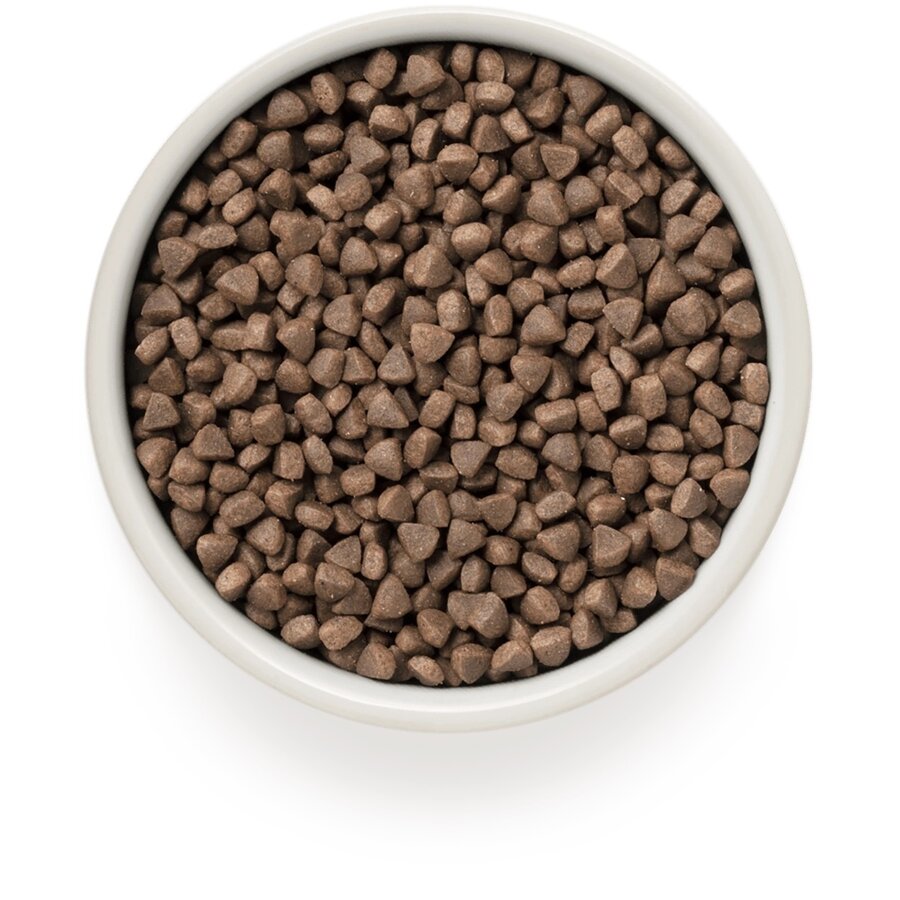 Cat Rabbit & Turkey Adult Sterilized