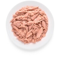 Cat Tuna Fillet 70g