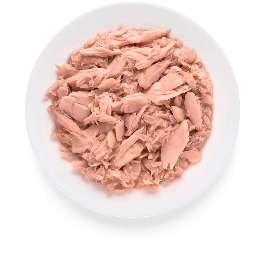 Cat Tuna Fillet 70 gram