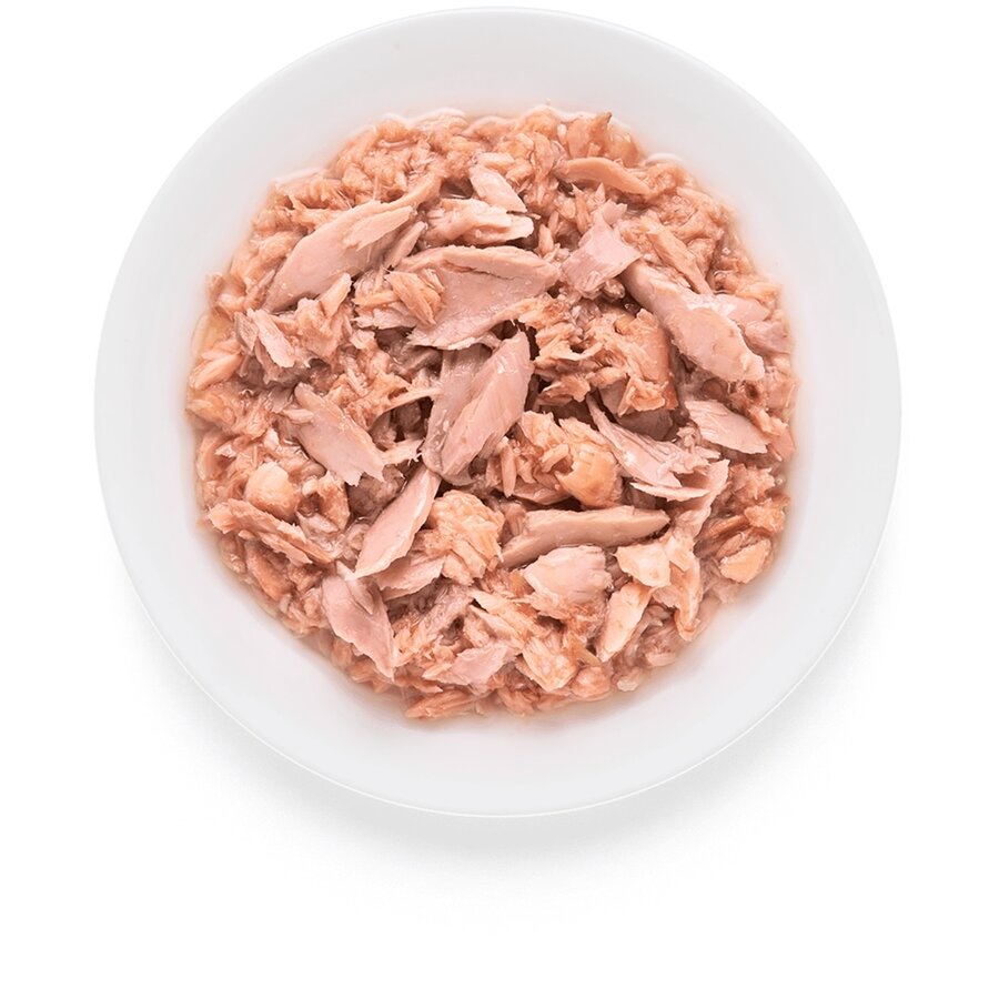 Cat Tuna Fillet & Salmon 70 gram