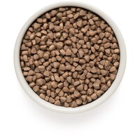 Cat White Fish Adult Skin&Care