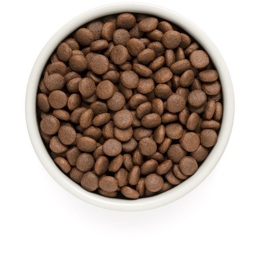 Lamb & Turkey Junior Medium & Maxi