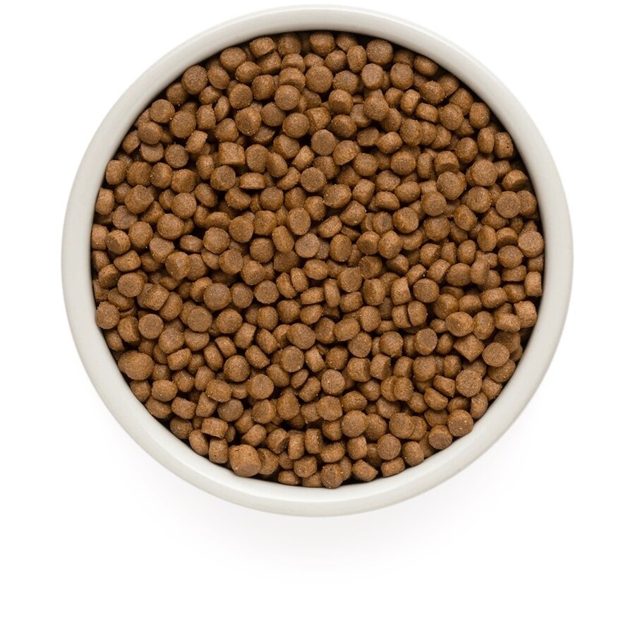 Lamb & Turkey Puppy vanaf 3 weken