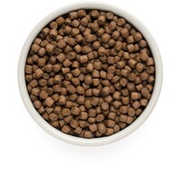 Lamb & Turkey Adult Mini