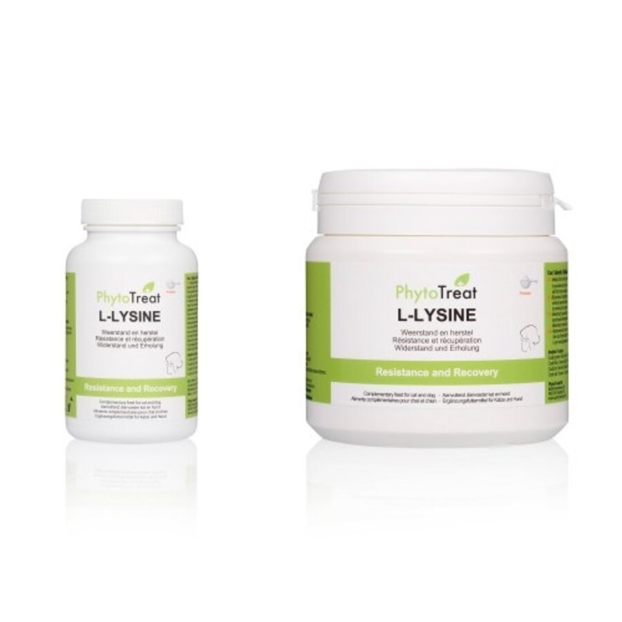 L-Lysine poeder