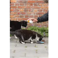 ATV (Anti Teken Vlooien) Poeder strooibus 95 gram