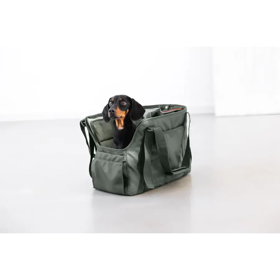 Carrier Bag Weda