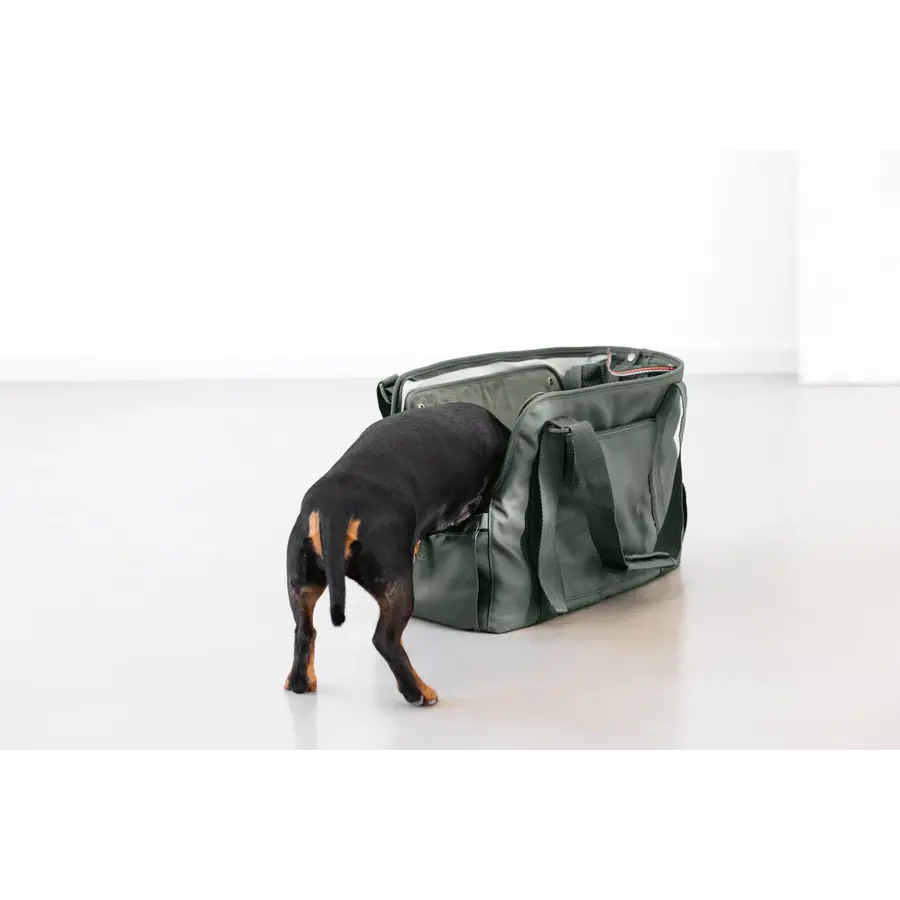 Carrier Bag Weda