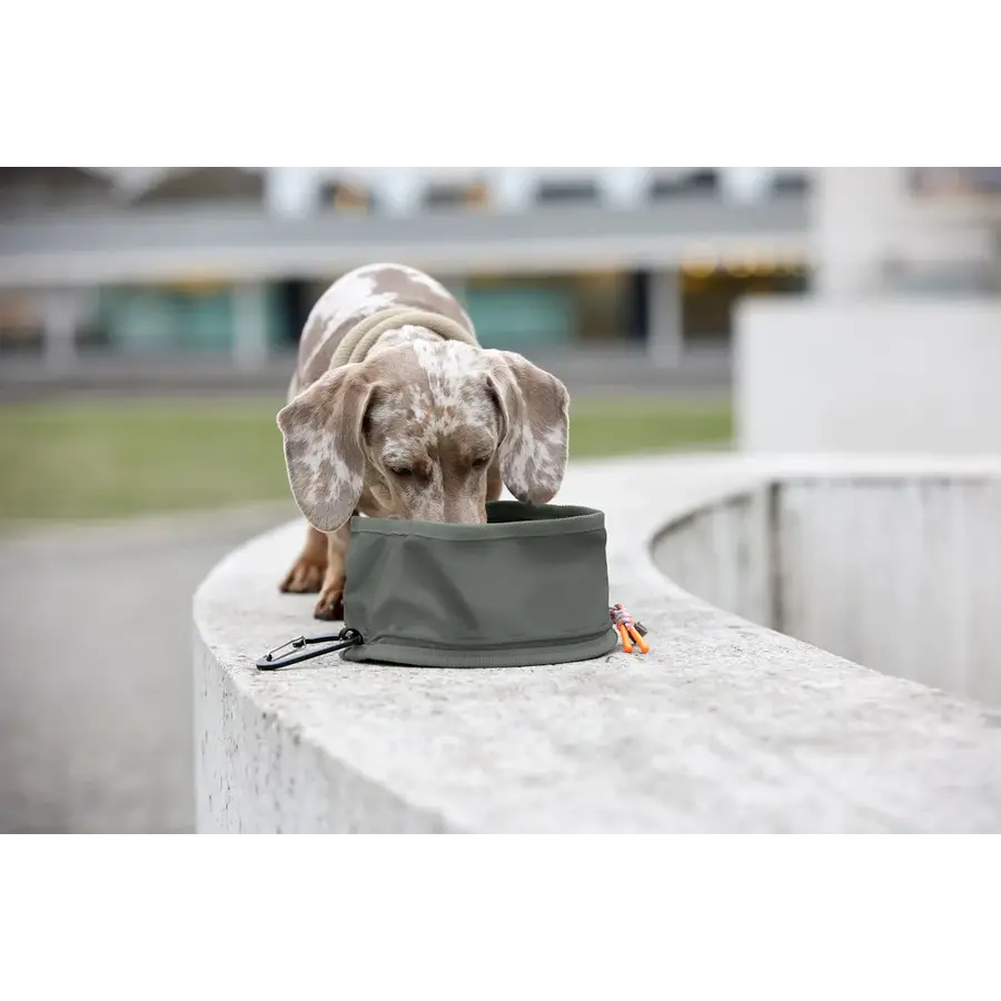 Dog Bowl to Go Tura