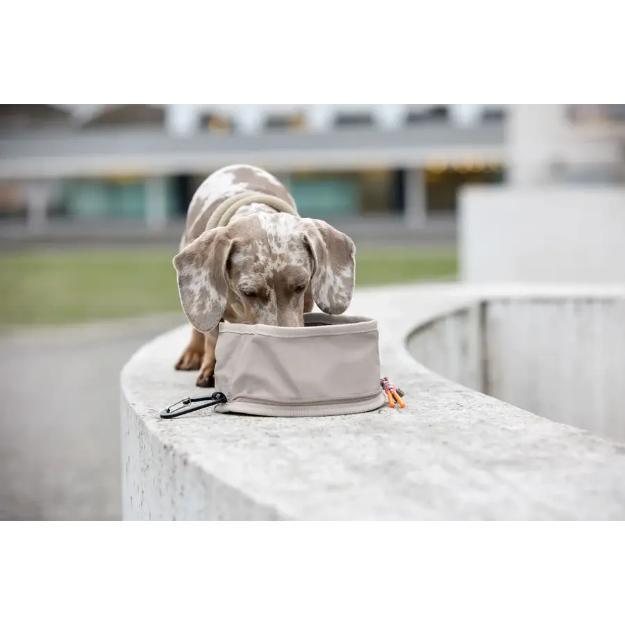 Dog Bowl to Go Tura