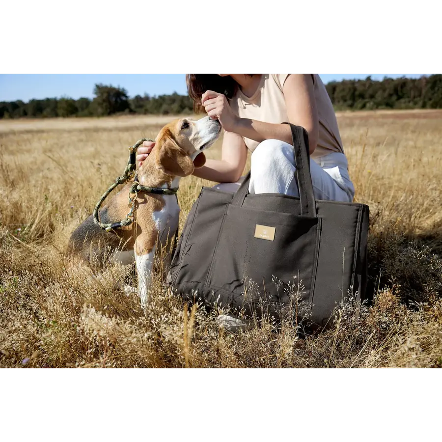 Dog Mat Bag Nobo