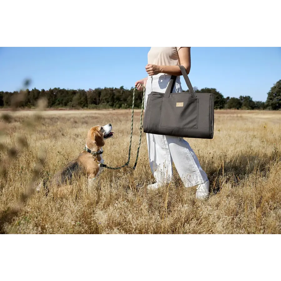 Dog Mat Bag Nobo