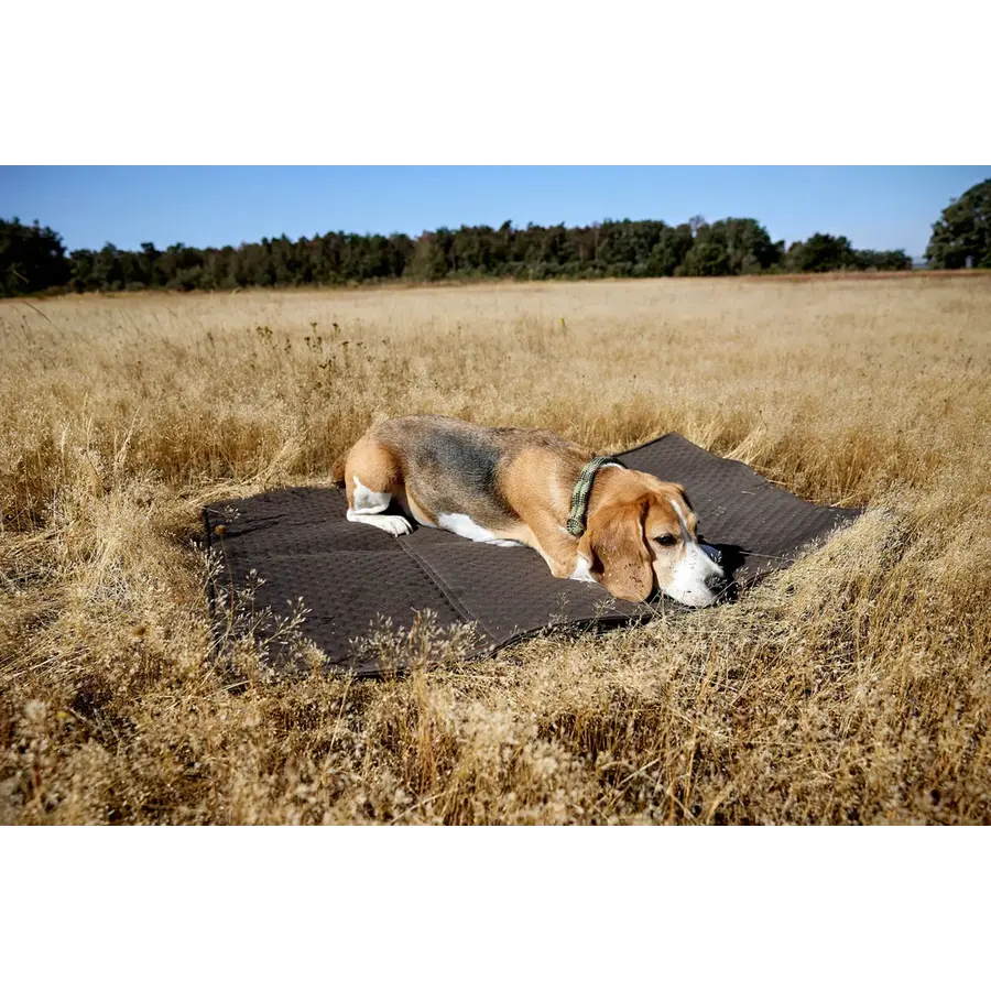 Dog Mat Bag Nobo
