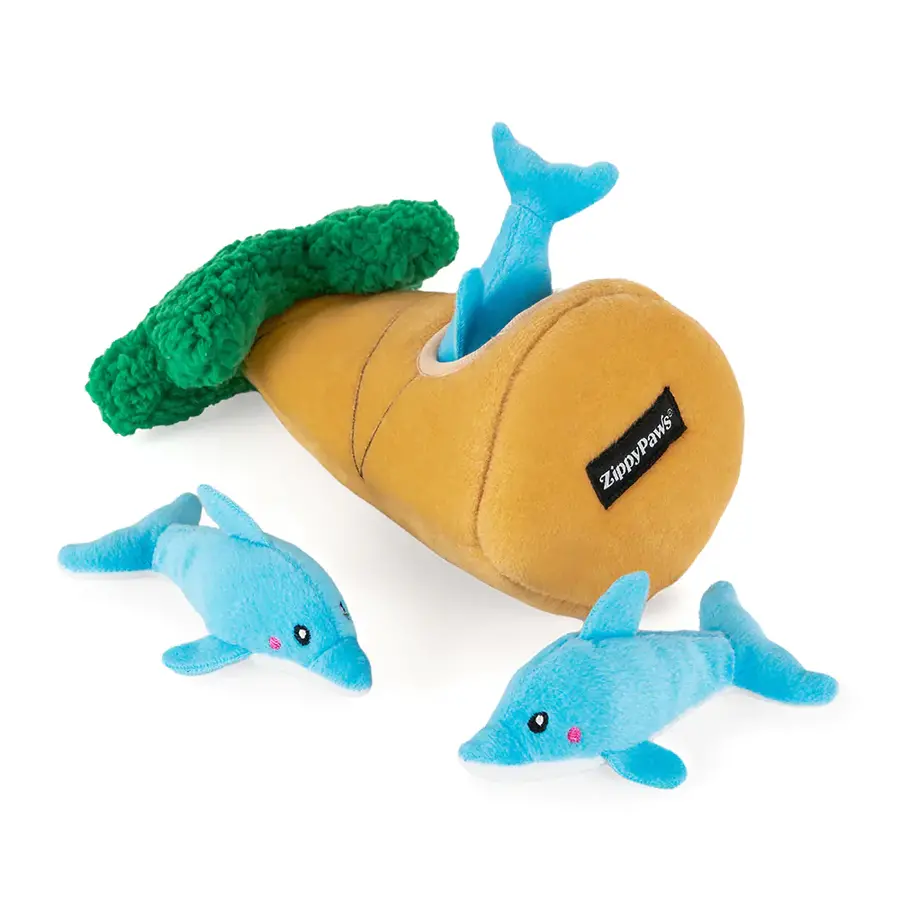 Burrow Dolphins in Palm Tree