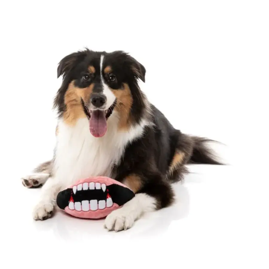 Halloween Dracs Dentures