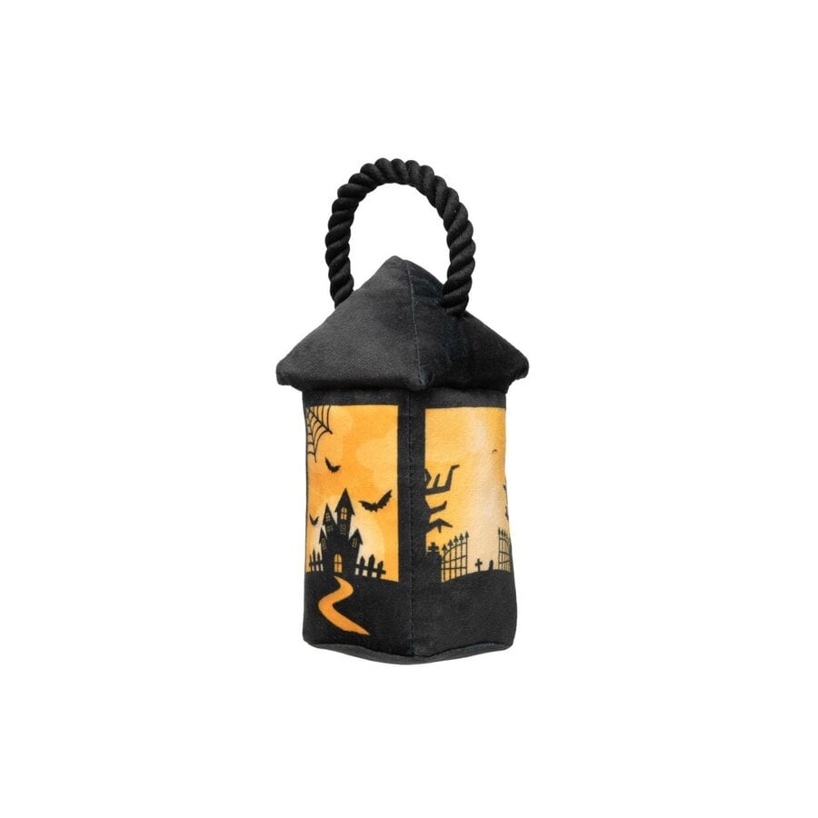 Halloween Eerie Light Up Lantern