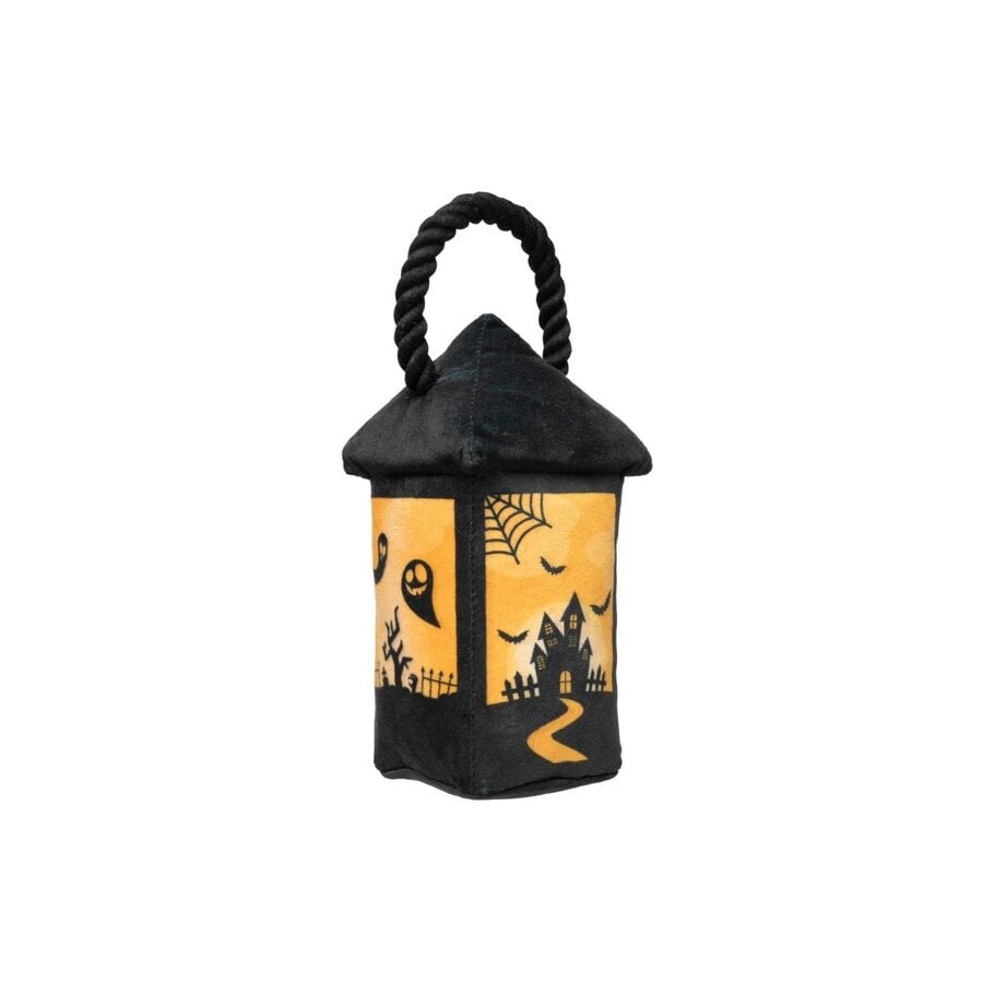 Halloween Eerie Light Up Lantern