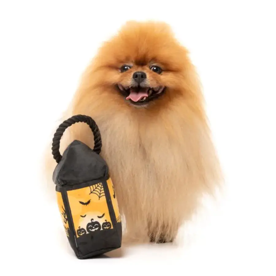 Halloween Eerie Light Up Lantern