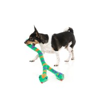 Halloween Hissy Elliot