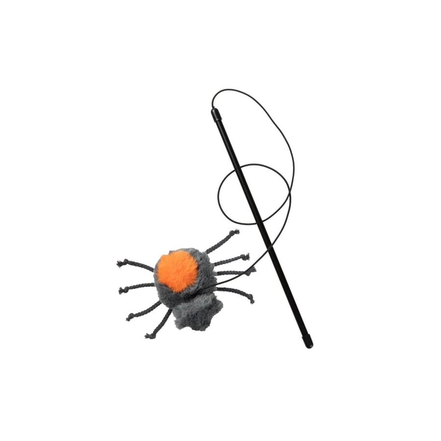 Halloween Cat Arachnate Spider