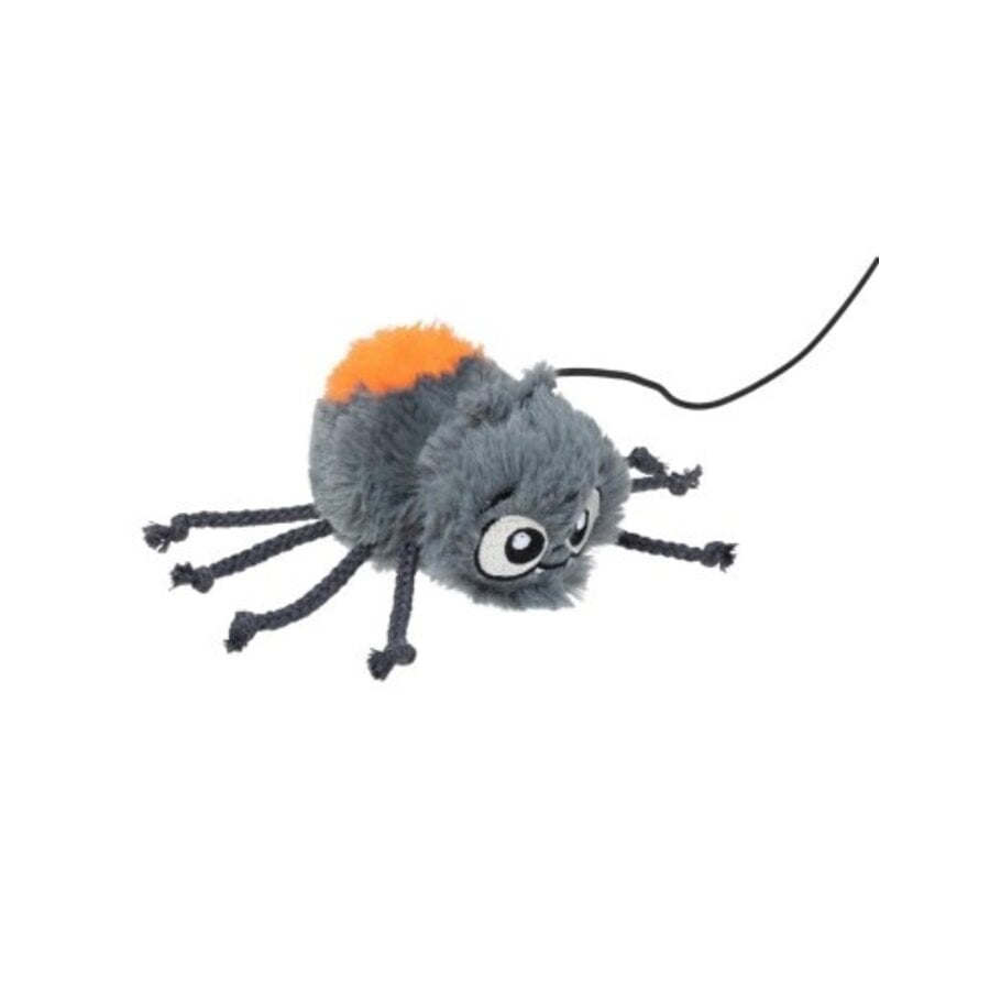 Halloween Cat Arachnate Spider
