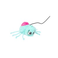 Halloween Cat Webigail The Spider