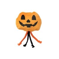 Halloween Cat Percy Pumpkin